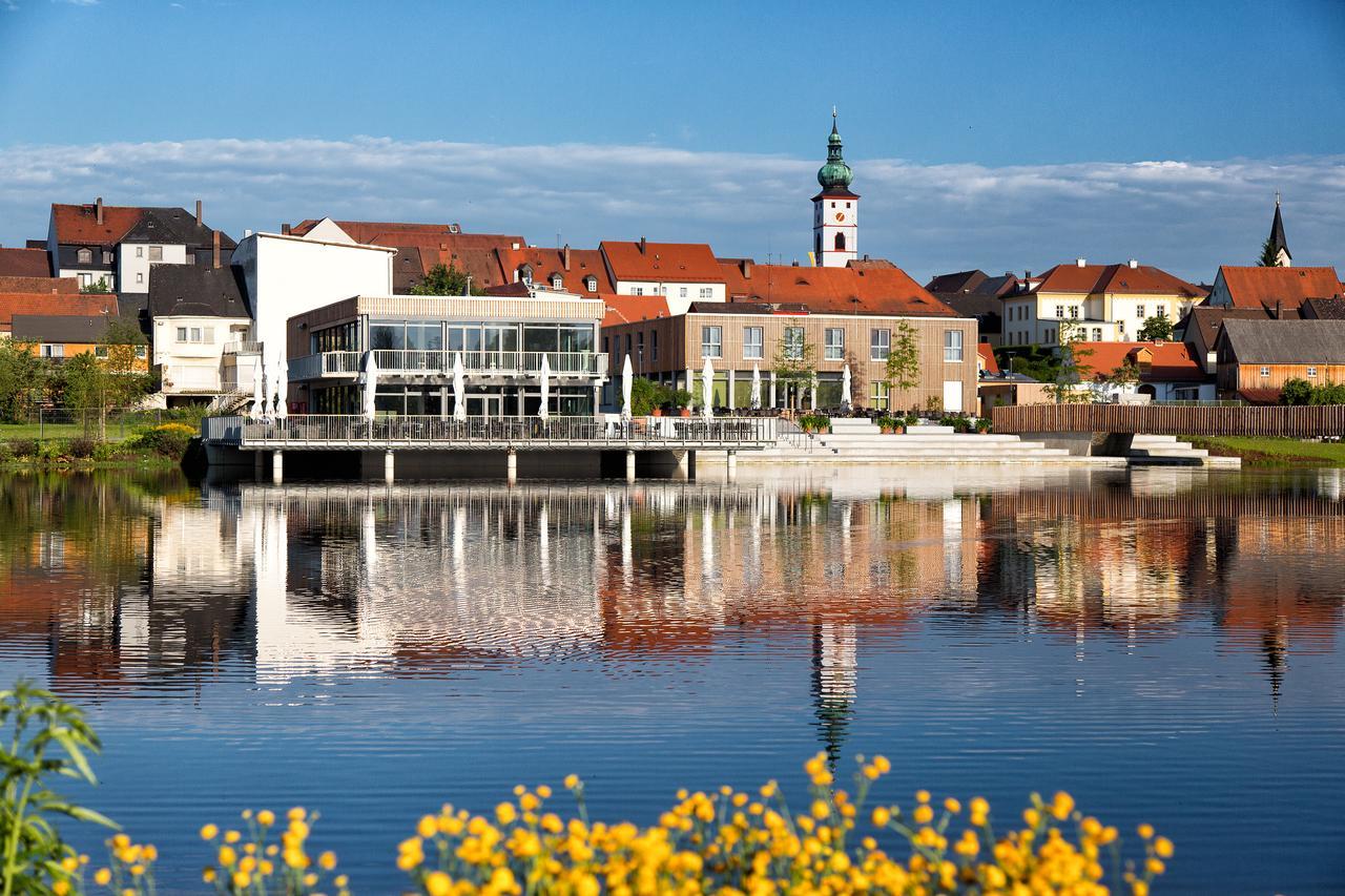 Seenario - Art & Health Hotel Am See Tirschenreuth Exterior foto